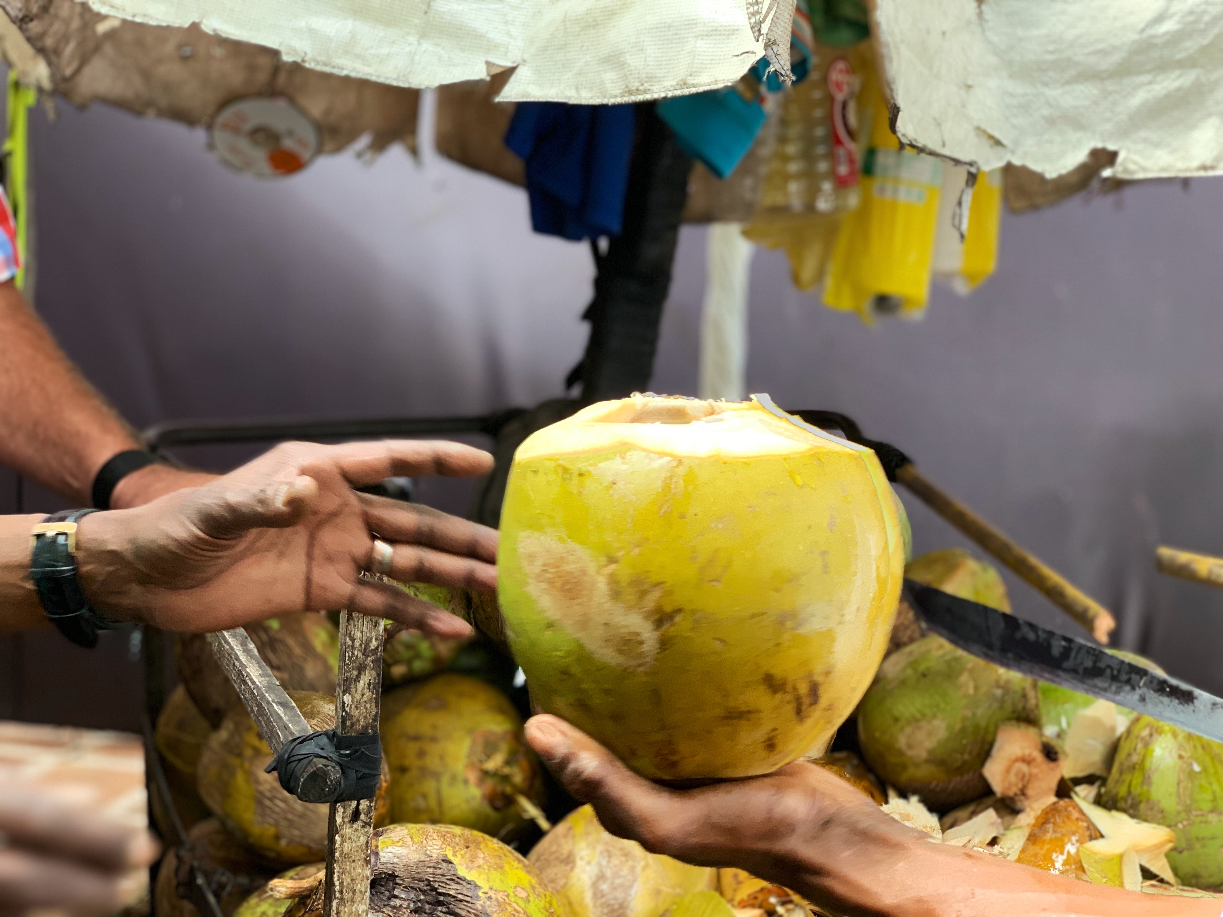 Decoración tropical